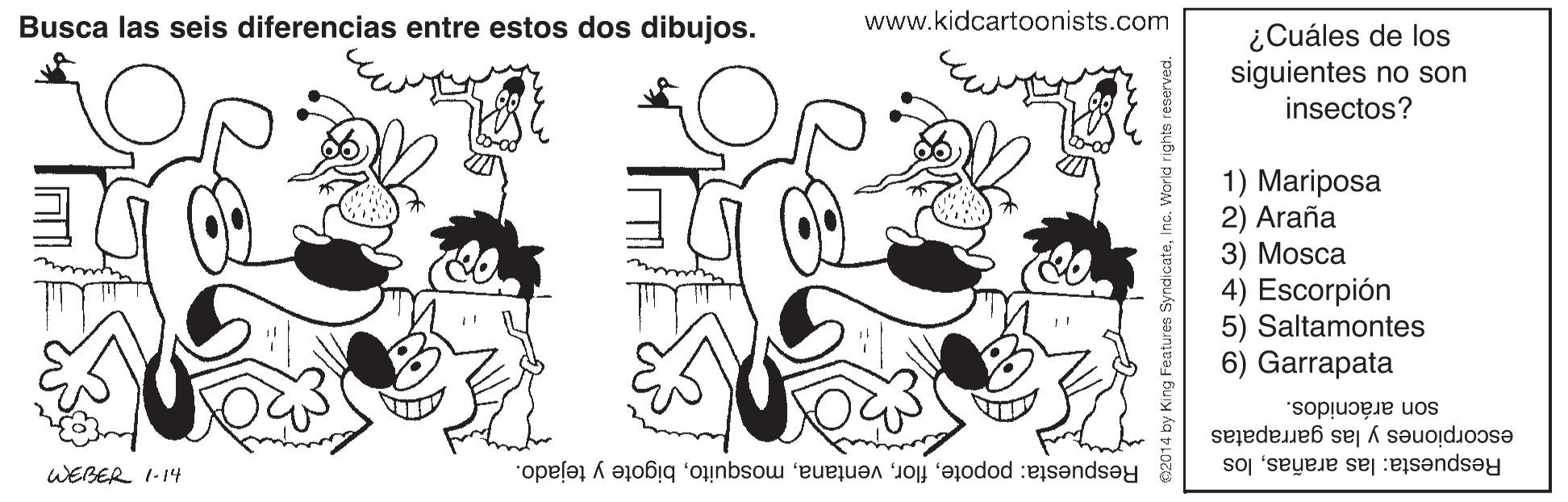 Mammal OCR: Busca las seis diferencias entre estos dos dibujos. www.kidcartoonists.com ¿Cuáles de los siguientes no son insectos? 1) Mariposa 2) Araña 3) Mosca 4) Escorpión 5) Saltamontes 6) Garrapata son arácnidos. Respuesta: las arañaslos escorpiones y las garrapatas WEBER I-14 Respuesta: popotebigote y tejado. Busca las seis diferencias entre estos dos dibujos. www.kidcartoonists.com ¿Cuáles de los siguientes no son insectos? 1) Mariposa 2) Araña 3) Mosca 4) Escorpión 5) Saltamontes 6) Garrapata son arácnidos. Respuesta: las arañaslos escorpiones y las garrapatas WEBER I-14 Respuesta: popotebigote y tejado.