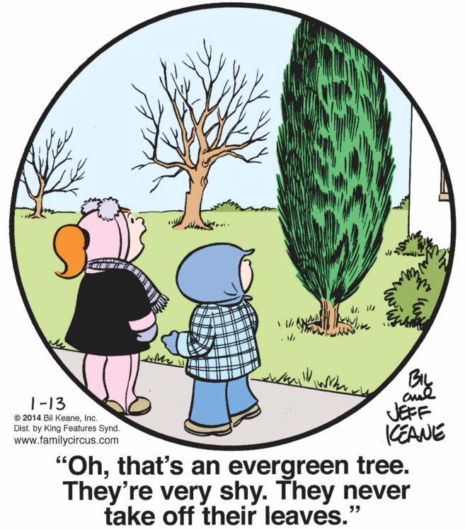 Sharing OCR: Cul JEFF KEANE "Ohthat's an evergreen tree. They're very shy. They never |-13 © 2014 Bil KeaneInc. Dist. by King Features Synd. www.familycircus.com take off their leaves." Cul JEFF KEANE "Ohthat's an evergreen tree. They're very shy. They never |-13 © 2014 Bil KeaneInc. Dist. by King Features Synd. www.familycircus.com take off their leaves."