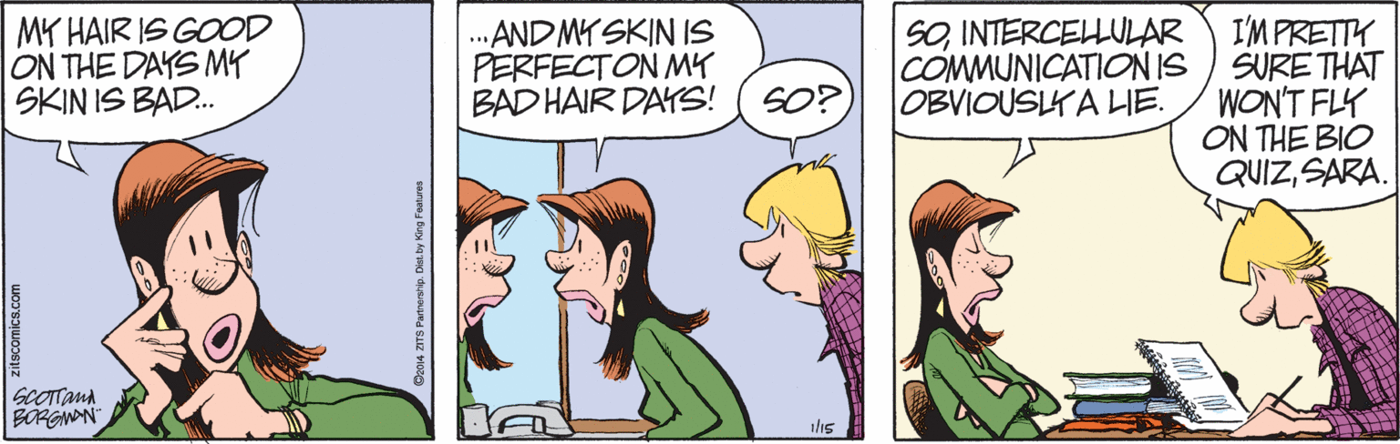 Human OCR: MY HAIR IS GOOD ON THE DAYS MY SKIN IS BAD. . AND MY SKIN IS PERFECTON MY BAD HAIR DAS! SOINTERCELLULAR COMMUNICATIONIS OBVIOUSLYA LIE. I'MPRETTY SURE THAT WON'T FLY ON THE BIO QUIZSARA. SO? sCOTTana BORGNAN ilis zitscomics.com 2014 ZITS Partnership. Diat by King Foatures MY HAIR IS GOOD ON THE DAYS MY SKIN IS BAD. . AND MY SKIN IS PERFECTON MY BAD HAIR DAS! SOINTERCELLULAR COMMUNICATIONIS OBVIOUSLYA LIE. I'MPRETTY SURE THAT WON'T FLY ON THE BIO QUIZSARA. SO? sCOTTana BORGNAN ilis zitscomics.com 2014 ZITS Partnership. Diat by King Foatures