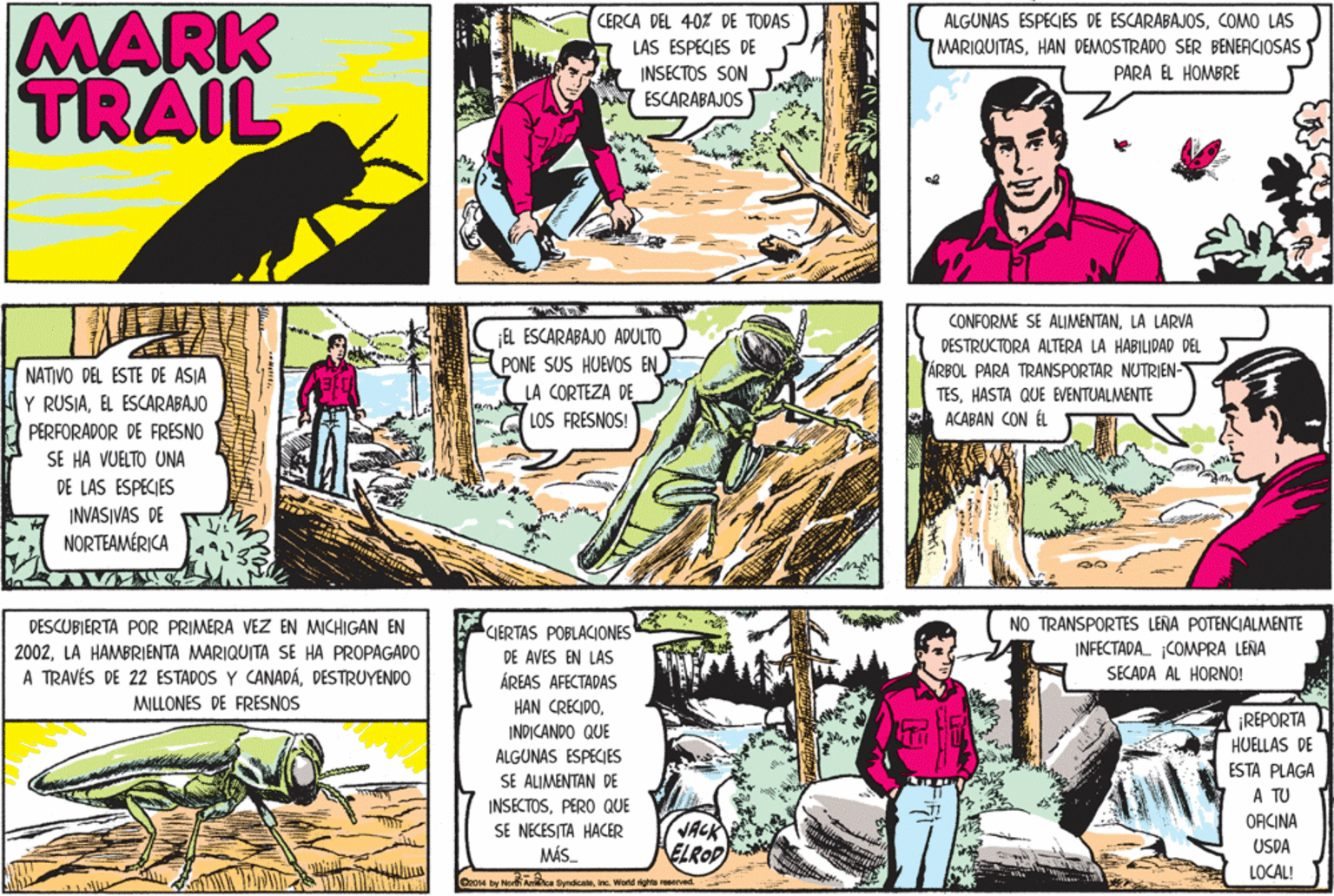 Art OCR: MARK TRAIL CERCA DEL 40% DE TODAS ALGUNAS ESPECIES DE ESCARABAJOSCOMO LAS LAS ESPECIES DE MARIQUITASHAN DEMOSTRADO SER BENERCIOSAS INSECTOS SON PARA EL HOMBRE ESCARABAJOS CONFORME SE ALIMENTANLA LARVA ¡EL ESCARABAJO ADULTO PONE SUS HUEVOS EN LA CORTEZA DE DESTRUCTORA ALTERA LA HABILIDAD DEL NATIVO DEL ESTE DE ASIA ÁRBOL PARA TRANSPORTAR NUTRIEN- TESHASTA QUE EVENTUALMENTE Y RUSIAEL ESCARABAJO LOS FRESNOS! ACABAN CON ÉL PERFORADOR DE FRESNO SE HA VUELTO UNA DE LAS ESPECIES INVASIVAS DE NORTEAMÉRICA NO TRANSPORTES LENA POTENCIALMENTE INFECTADA. COMPRA LERA SECADA AL HORNO! DESCUBIERTA POR PRIMERA VEZ EN MICHIGAN EN CIERTAS POBLACIONES 2002LÀ HAMBRIENTA MARIQUITA S? HÀ PROPAGADO A TRAVÉS DE 22 ESTADOS Y CANADÁDESTRUYENDO MILLONES DE FRESNOS DE AVES EN LAS ÁREAS AFECTADAS HAN CRECIDO¡REPORTA HUELLAS DE INDICANDO QUE ALGUNAS ESPECIES SE ALIMENTAN DE INSECTOSPERO QUE SE NECESITA HACER MÁS. ESTA PLAGA A TU JACK ELROD ORCINA USDA LOCAL! CooM by No A a Syndicnteinc. World ighta reserved MARK TRAIL CERCA DEL 40% DE TODAS ALGUNAS ESPECIES DE ESCARABAJOSCOMO LAS LAS ESPECIES DE MARIQUITASHAN DEMOSTRADO SER BENERCIOSAS INSECTOS SON PARA EL HOMBRE ESCARABAJOS CONFORME SE ALIMENTANLA LARVA ¡EL ESCARABAJO ADULTO PONE SUS HUEVOS EN LA CORTEZA DE DESTRUCTORA ALTERA LA HABILIDAD DEL NATIVO DEL ESTE DE ASIA ÁRBOL PARA TRANSPORTAR NUTRIEN- TESHASTA QUE EVENTUALMENTE Y RUSIAEL ESCARABAJO LOS FRESNOS! ACABAN CON ÉL PERFORADOR DE FRESNO SE HA VUELTO UNA DE LAS ESPECIES INVASIVAS DE NORTEAMÉRICA NO TRANSPORTES LENA POTENCIALMENTE INFECTADA. COMPRA LERA SECADA AL HORNO! DESCUBIERTA POR PRIMERA VEZ EN MICHIGAN EN CIERTAS POBLACIONES 2002LÀ HAMBRIENTA MARIQUITA S? HÀ PROPAGADO A TRAVÉS DE 22 ESTADOS Y CANADÁDESTRUYENDO MILLONES DE FRESNOS DE AVES EN LAS ÁREAS AFECTADAS HAN CRECIDO¡REPORTA HUELLAS DE INDICANDO QUE ALGUNAS ESPECIES SE ALIMENTAN DE INSECTOSPERO QUE SE NECESITA HACER MÁS. ESTA PLAGA A TU JACK ELROD ORCINA USDA LOCAL! CooM by No A a Syndicnteinc. World ighta reserved