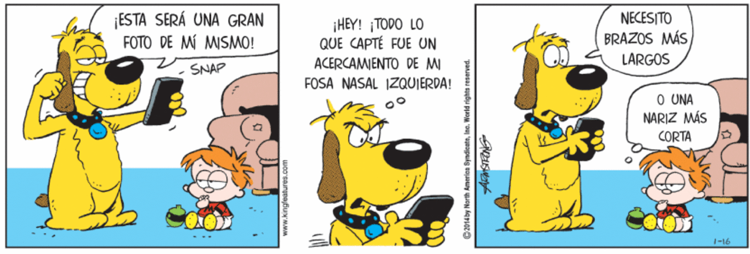 Humour OCR: ¡ESTA SERÁ UNA GRAN FOTO DE MI MISMO! NECESITO ¡HEY! ¡TODO LO QUE CAPTÉ FUE UN BRAZOS MÁS LÁRGOS ACERCAMENTO DE M - ŠNAP FOSA NASAL IZQUIERDA! O UNA NARIZ MÁS CORTA 1-16 www.kingfeatures.com 2014by North Amerion Syndicatein ¡ESTA SERÁ UNA GRAN FOTO DE MI MISMO! NECESITO ¡HEY! ¡TODO LO QUE CAPTÉ FUE UN BRAZOS MÁS LÁRGOS ACERCAMENTO DE M - ŠNAP FOSA NASAL IZQUIERDA! O UNA NARIZ MÁS CORTA 1-16 www.kingfeatures.com 2014by North Amerion Syndicate