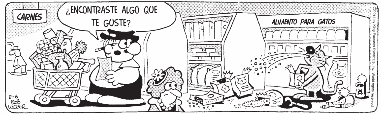 Art OCR: ¿ENCONTRASTE ALGO QUE TE GUSTE? CARNES ALIMENTO PARA GATOS WEBER ¿ENCONTRASTE ALGO QUE TE GUSTE? CARNES ALIMENTO PARA GATOS WEBER
