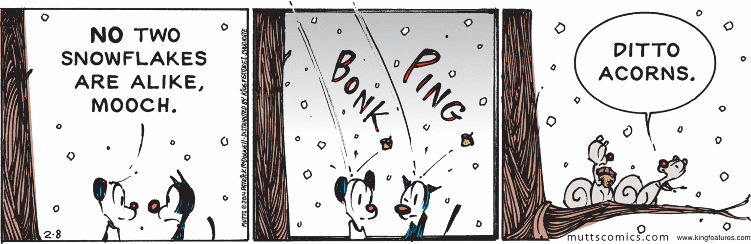 Graphics OCR: NO TWO SNOWFLAKES ARE ALIKEDITTO ACORNS. MOOCH. 2.8 muttscomics.com www.kingfeatures.com PING BONK NO TWO SNOWFLAKES ARE ALIKEDITTO ACORNS. MOOCH. 2.8 muttscomics.com www.kingfeatures.com PING BONK