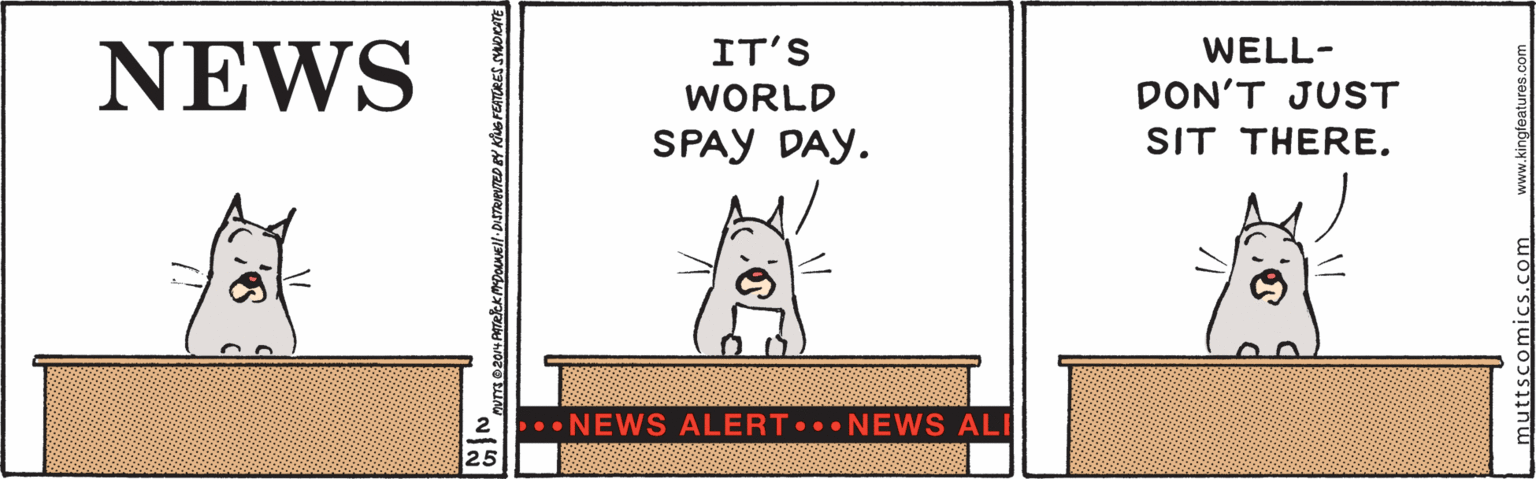 Signage OCR: NEWS IT'S WELL- WORLD DON'T JUST SPAY DAY. SIT THERE. •NEWS ALERT..NEWS ALI muttsc NEWS IT'S WELL- WORLD DON'T JUST SPAY DAY. SIT THERE. •NEWS ALERT..NEWS ALI muttsc