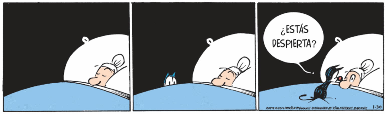 Pleased OCR: ¿ESTÁS DESPIERTA? ¿ESTÁS DESPIERTA?