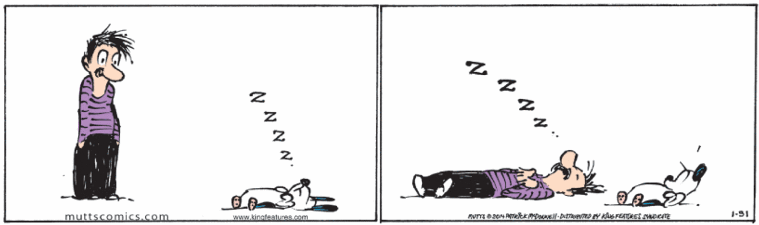 Circle OCR: ? 1-51 www.kingfeatures.com muttscomics.com ? 1-51 www.kingfeatures.com muttscomics.com