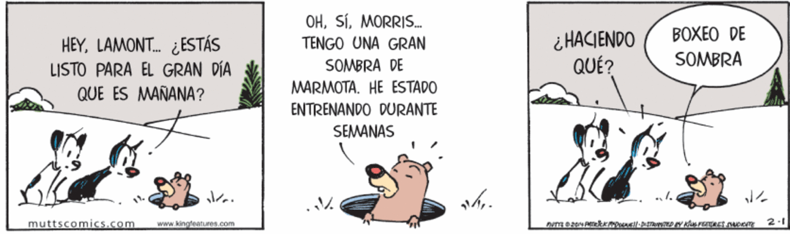 Happy OCR: OHMORRIS. BOXEO DE HEYLAMONT. ¿ESTÁS LISTO PARA EL GRAN DÍA ¿ HACJENDO QUÉ? TENGO UNA GRAN SOMBRA DE SOMBRA MARMOTA. HE ESTADO ENTRENANDO DURANTE QUE ES MAÑANA? SEMANAS muttscomics.com www.kingfeatLres.com 2-1 OHMORRIS. BOXEO DE HEYLAMONT. ¿ESTÁS LISTO PARA EL GRAN DÍA ¿ HACJENDO QUÉ? TENGO UNA GRAN SOMBRA DE SOMBRA MARMOTA. HE ESTADO ENTRENANDO DURANTE QUE ES MAÑANA? SEMANAS muttscomics.com www.kingfeatLres.com 2-1