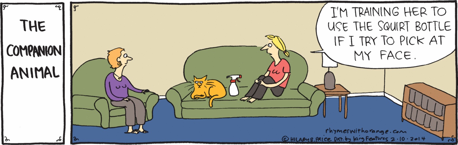Art OCR: I'M TRAINING HER TO USE THE SQUIRT BOTTLE IF I TRY TO PICK AT MY FACE. THE COMPANION ANIMAL rhymerwithorange.com O HILAMB.PRICe Drt.by lang Fentures 2.10. 2014 I'M TRAINING HER TO USE THE SQUIRT BOTTLE IF I TRY TO PICK AT MY FACE. THE COMPANION ANIMAL rhymerwithorange.com O HILAMB.PRICe Drt.by lang Fentures 2.10. 2014
