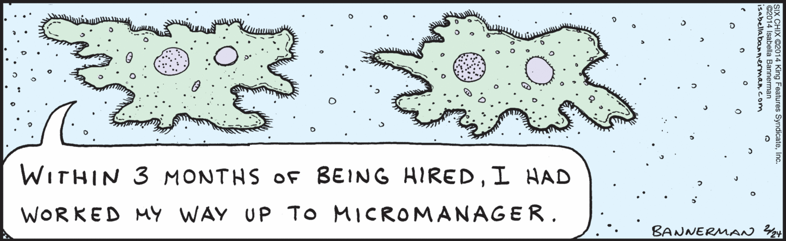 Drawing OCR: WITHIN 3MONTHS OF BEING HIREDI HAD WORKED MY WAY UP TO MICROMANA GER. ©2014 Isabella Bannerman SIX CHIX ©2014 King Features SyndicateInc. BANNERMAN 4 isabella WITHIN 3MONTHS OF BEING HIREDI HAD WORKED MY WAY UP TO MICROMANA GER. ©2014 Isabella Bannerman SIX CHIX ©2014 King Features SyndicateInc. BANNERMAN 4 isabella