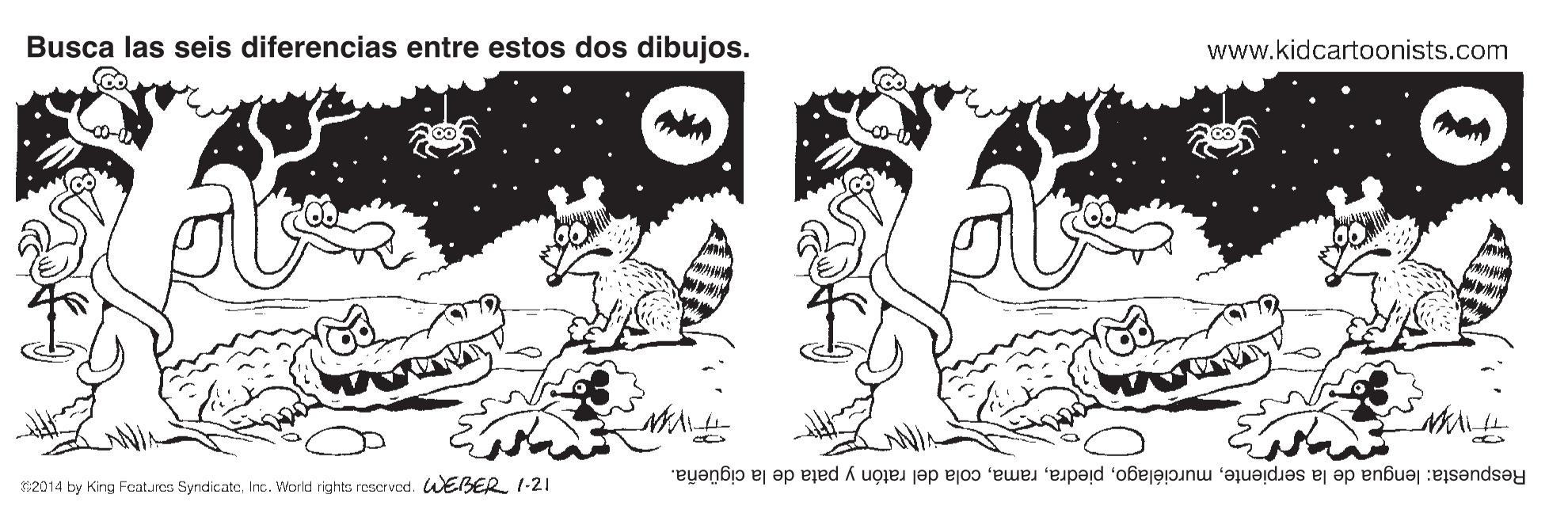 Style OCR: Busca las seis diferencias entre estos dos dibujos. www.kidcartoonists.com Respuesta: lengua de la serpientecola del ratón y pata de la cigüeña. 2014 by King Fcatures SyndkateInc. World rights reservod. WEBER 1-21 Busca las seis diferencias entre estos dos dibujos. www.kidcartoonists.com Respuesta: lengua de la serpientecola del ratón y pata de la cigüeña. 2014 by King Fcatures SyndkateInc. World rights reservod. WEBER 1-21