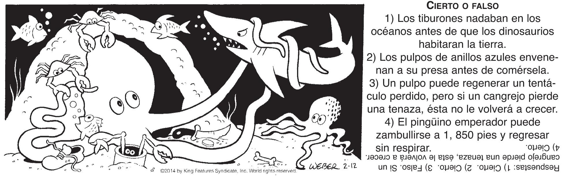 Fictional character OCR: CIERTO O FALSO 1) Los tiburones nadaban en los océanos antes de que los dinosaurios habitaran la tierra. 2) Los pulpos de anillos azules envene- nan a su presa antes de comérsela. 3) Un pulpo puede regenerar un tentá- culo perdidopero si un cangrejo pierde una tenazaésta no le volverá a crecer. 4) El pingüino emperador puede zambullirse a 1850 pies y regresar sin respirar. cangrejo pierde una tenazaésta le volverá a crecer. Respuestas: 1) Cierto. 2) Cierto. 3) Falso. Si un 4) Cierto. WEBER 2-12 * s2014 hy King Features SyndicateInc. World nights reserved CIERTO O FALSO 1) Los tiburones nadaban en los océanos antes de que los dinosaurios habitaran la tierra. 2) Los pulpos de anillos azules envene- nan a su presa antes de comérsela. 3) Un pulpo puede regenerar un tentá- culo perdidopero si un cangrejo pierde una tenazaésta no le volverá a crecer. 4) El pingüino emperador puede zambullirse a 1850 pies y regresar sin respirar. cangrejo pierde una tenazaésta le volverá a crecer. Respuestas: 1) Cierto. 2) Cierto. 3) Falso. Si un 4) Cierto. WEBER 2-12 * s2014 hy King Features SyndicateInc. World nights reserved