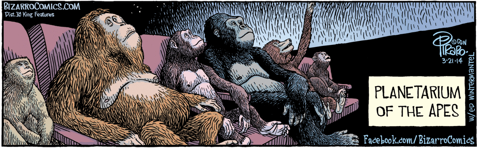 Fiction OCR: BIZARROCOMICS.COM Facebook.com/BizarroComies Dist 9 King Falwes PLANETARIUM OF THE APES w/eD WINTERMANTEL 3-21·14 BIZARROCOMICS.COM Facebook.com/BizarroComies Dist 9 King Falwes PLANETARIUM OF THE APES w/eD WINTERMANTEL 3-21·14