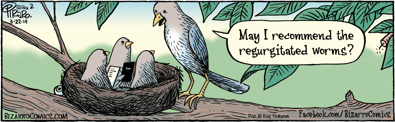 Boat OCR: May I recommend the regurgitated worms? OD?N 3.22 14 BIZARROCOMICS.COM Facebook.com/ BizarroComies Dist Y King Features May I recommend the regurgitated worms? OD?N 3.22 14 BIZARROCOMICS.COM Facebook.com/ BizarroComies Dist Y King Features