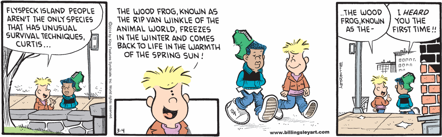 Font OCR: FLYSPECK ISLAND PEOPLE AREN'T THE ONLY SPECIES THAT HAS UNUSUAL SURVIVAL TECHNIQUESCURTIS... THE WOOD FROGKNOWN AS THE RIP VAN WINKLE OF THE ANIMAL WORLDFREEZES IN THE WINTER AND COMES BACK TO LIFE IN THE WARMTH OF THE SPRING SUN ! ..THE WOOD FROGKNOWN AS THE- I HEARD YOU THE FIRST TIME! oonnr. 3-4 www.billingsleyart.com FLYSPECK ISLAND PEOPLE AREN'T THE ONLY SPECIES THAT HAS UNUSUAL SURVIVAL TECHNIQUESCURTIS... THE WOOD FROGKNOWN AS THE RIP VAN WINKLE OF THE ANIMAL WORLDFREEZES IN THE WINTER AND COMES BACK TO LIFE IN THE WARMTH OF THE SPRING SUN ! ..THE WOOD FROGKNOWN AS THE- I HEARD YOU THE FIRST TIME! oonnr. 3-4 www.billingsleyart.com