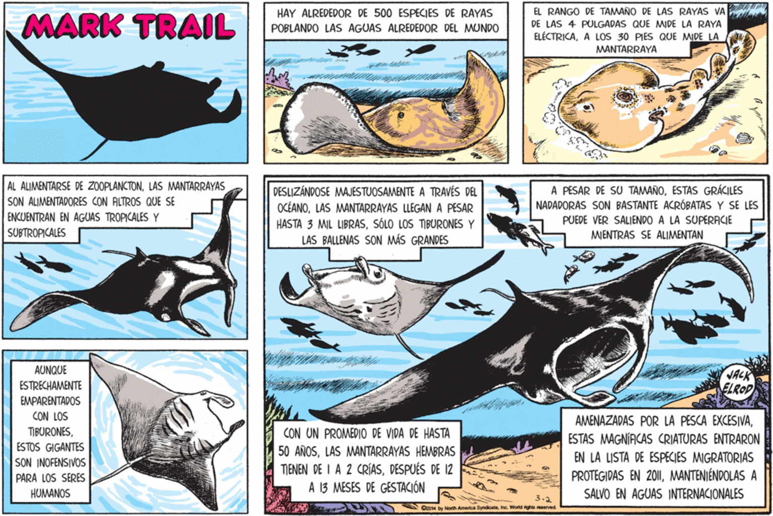 Slope OCR: HAY ALREDEDOR DE 500 ESPECIES DE RAYAS EL RANGO DE TAMANO DE LAS RAYAS VA MARK TRAIL DE LAS 4 PULGADAS QUE MIDE LA RAYA POBLANDO LAS AGUAS ALREDEDOR DEL MUNDO ELÉCTRICAA LOS 30 PIES QUE MIDE LA MANTARRAYA AL ALIMENTARSE DE ZOOPLANCTONLAS MANTARRAYAS SON ALIMENTADORES CON ALTROS QUE SE ENCUENTRAN EN AGUAS TROPICALES Y SUBTROPICALES A PESAR DE SU TAMAÑOESTAS GRÁCILES NADADORAS SON BASTANTE ACRÓBATAS Y SE LES DESLIZÁNDOSE MAJESTUOSAMENTE A TRAVÉS DEL OCÉANOLAS MANTARRAYAS LLEGAN A PESAR HASTA 3 MIL LIBRASSÓLO LOS TIBURONES Y LAS BALLENAS SON MÁS GRANDES PUEDE VER SALIENDO A LA SUPERACIE MIENTRAS SE ALIMENTAN AUNQUE JACK ELROD ESTRECHAMENTE EMPARENTADOS CON LOS AMENAZADAS POR LA PESCA EXCESIVAESTAS MAGNÍACAS CRIATURAS ENTRARON TIBURONESCON UN PROMEDIO DE VIDA DE HASTA 50 AÑOSLAS MANTARRAYAS HEMBRAS TIENEN DE I A 2 CRÍASDESPUÉS DE 12 A 13 MESES DE GESTACIÓN ESTOS GIGANTES SON INOFENSIVOS EN LA LISTA DE ESPECIES MIGRATORIAS PROTEGIDAS EN 2011MANTENIÉNDOLAS A PARA LOS SERES HUMANOS SALVO EN AGUAS INTERNACIONALES 3.2 014 by North Ameica SyndicateIne. World rghts served. HAY ALREDEDOR DE 500 ESPECIES DE RAYAS EL RANGO DE TAMANO DE LAS RAYAS VA MARK TRAIL DE LAS 4 PULGADAS QUE MIDE LA RAYA POBLANDO LAS AGUAS ALREDEDOR DEL MUNDO ELÉCTRICAA LOS 30 PIES QUE MIDE LA MANTARRAYA AL ALIMENTARSE DE ZOOPLANCTONLAS MANTARRAYAS SON ALIMENTADORES CON ALTROS QUE SE ENCUENTRAN EN AGUAS TROPICALES Y SUBTROPICALES A PESAR DE SU TAMAÑOESTAS GRÁCILES NADADORAS SON BASTANTE ACRÓBATAS Y SE LES DESLIZÁNDOSE MAJESTUOSAMENTE A TRAVÉS DEL OCÉANOLAS MANTARRAYAS LLEGAN A PESAR HASTA 3 MIL LIBRASSÓLO LOS TIBURONES Y LAS BALLENAS SON MÁS GRANDES PUEDE VER SALIENDO A LA SUPERACIE MIENTRAS SE ALIMENTAN AUNQUE JACK ELROD ESTRECHAMENTE EMPARENTADOS CON LOS AMENAZADAS POR LA PESCA EXCESIVAESTAS MAGNÍACAS CRIATURAS ENTRARON TIBURONESCON UN PROMEDIO DE VIDA DE HASTA 50 AÑOSLAS MANTARRAYAS HEMBRAS TIENEN DE I A 2 CRÍASDESPUÉS DE 12 A 13 MESES DE GESTACIÓN ESTOS GIGANTES SON INOFENSIVOS EN LA LISTA DE ESPECIES MIGRATORIAS PROTEGIDAS EN 2011MANTENIÉNDOLAS A PARA LOS SERES HUMANOS SALVO EN AGUAS INTERNACIONALES 3.2 014 by North Ameica SyndicateIne. World rghts served.