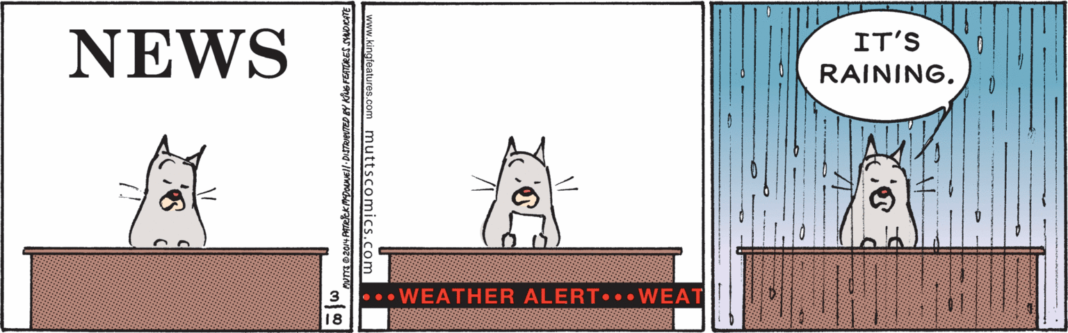 Tail OCR: NEWS IT'S RAINING. •WEATHER ALERT. .WEAT 18 kingfeatures.com muttscomics.com NEWS IT'S RAINING. •WEATHER ALERT. .WEAT 18 kingfeatures.com muttscomics.com