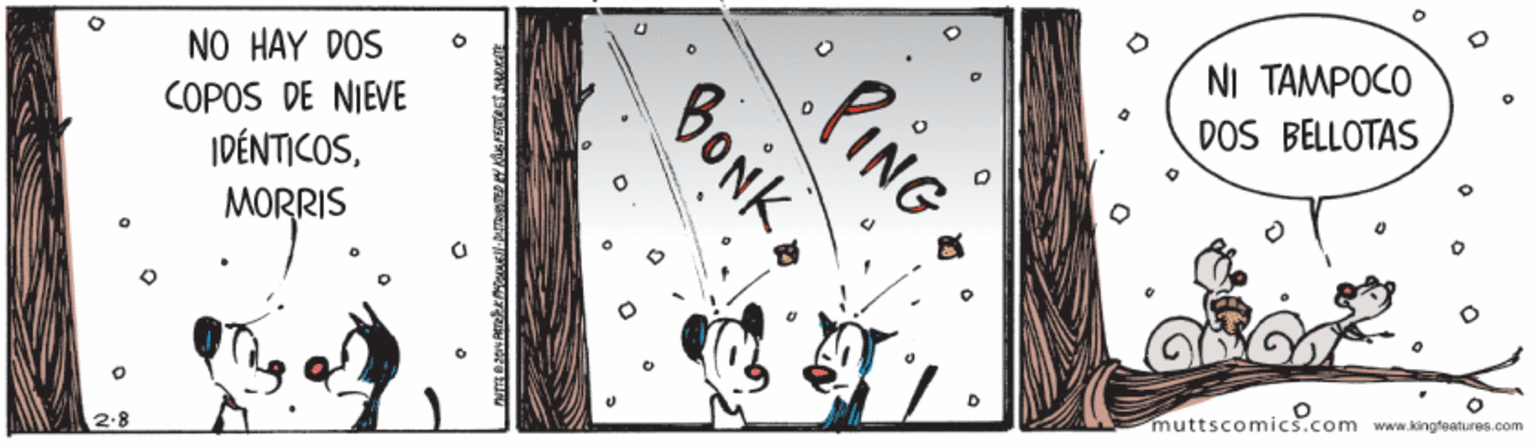 Picture frame OCR: NO HAY DOS NI TAMPOCO DOS BELLOTAS COPOS DE NIEVE IDÉNTICOSMORRIS 2.8 muttscomics.com www.kingfeatures.com .PING BONK NO HAY DOS NI TAMPOCO DOS BELLOTAS COPOS DE NIEVE IDÉNTICOSMORRIS 2.8 muttscomics.com www.kingfeatures.com .PING BONK