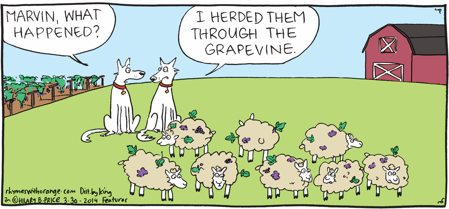 Rabbit OCR: I HERDED THEM MARVINWHAT HAPPENED? THROUGH THE GRAPEVINE. FRESH & PULPY Rhymes with Orange by HIL ARY B. PRICE rkymeswithorange com Dist.bey king a OHILAGI B-PRICe 3-30 - 2014 Features I HERDED THEM MARVINWHAT HAPPENED? THROUGH THE GRAPEVINE. FRESH & PULPY Rhymes with Orange by HIL ARY B. PRICE rkymeswithorange com Dist.bey king a OHILAGI B-PRICe 3-30 - 2014 Features