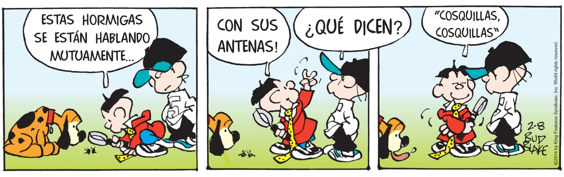 Happy OCR: ESTAS HORMIGAS "COSQUILLASCON SUS ¿QUÉ DICEN? COSQUILLAS" SE ESTÁN HABLANDOANTENAS! MUTUAMENTE. 2-8 BUD ESTAS HORMIGAS "COSQUILLASCON SUS ¿QUÉ DICEN? COSQUILLAS" SE ESTÁN HABLANDOANTENAS! MUTUAMENTE. 2-8 BUD