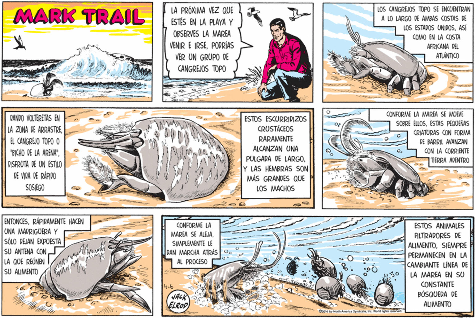 Font OCR: MARK TRAIL LA PRÓXIMA VEZ QUE ESTÉS EN LA PLAYA Y LOS CANGREJOS TOPO SE ENCUENTRAN A LO LARGO DE AMBAS COSTAS DE LOS ESTADOS UNIDOSASÍ OBSERVES LA MAREA COMO EN LA COSTA VENIR E IRSEPODRÍAS AFRICANA DEL VER UN GRUPO DE ATLÁNTICO CANGREJOS TOPO CONFORME LA MAREA SE MUEVE SOBRE ELLOSESTAS PEQUEÑAS DANDO VOLTERETAS EN ESTOS ESCURRIDIZOS CRUSTÁCEOS LA ZONA DE ARRASTRECRIATURAS CON FORMA DE BARRIL AVANZAN EL CANGREJO TOPO O RARAMENTE ALCANZAN UNA "BICHO DE LA ARENA"DISFRUTA DE UN ESTILO DE VIDA DE RÁPIDO CON LA CORRIENTE PULGADA DE LARGOY LAS HEMBRAS SON MÁS GRANDES QUE LOS MACHOS TERRA ADENTRO SOSIEGO ENTONCESRÁPIDAMENTE HACEN UNA MADRIGUERAY SÓLO DEJAN EXPUESTA SU ANTENA CONLA QUE REÚNEN SU ALIMENTO CONFORME LA ESTOS ANIMALES MAREA SE ALEJASIMPLEMENTE LE AILTRADORES DE ALIMENTOSIEMPRE PERMANECEN EN LA CAMBIANTE LÍNEA DE LA MAREA EN SU DAN MARCHA ATRÁS O. AL PROCESO CONSTANTE BÚSQUEDA DE 4-6 JACK ELROP ALIMENTO Oz0H by North America SyndicateInc Werd rights reserved MARK TRAIL LA PRÓXIMA VEZ QUE ESTÉS EN LA PLAYA Y LOS CANGREJOS TOPO SE ENCUENTRAN A LO LARGO DE AMBAS COSTAS DE LOS ESTADOS UNIDOSASÍ OBSERVES LA MAREA COMO EN LA COSTA VENIR E IRSEPODRÍAS AFRICANA DEL VER UN GRUPO DE ATLÁNTICO CANGREJOS TOPO CONFORME LA MAREA SE MUEVE SOBRE ELLOSESTAS PEQUEÑAS DANDO VOLTERETAS EN ESTOS ESCURRIDIZOS CRUSTÁCEOS LA ZONA DE ARRASTRECRIATURAS CON FORMA DE BARRIL AVANZAN EL CANGREJO TOPO O RARAMENTE ALCANZAN UNA "BICHO DE LA ARENA"DISFRUTA DE UN ESTILO DE VIDA DE RÁPIDO CON LA CORRIENTE PULGADA DE LARGOY LAS HEMBRAS SON MÁS GRANDES QUE LOS MACHOS TERRA ADENTRO SOSIEGO ENTONCESRÁPIDAMENTE HACEN UNA MADRIGUERAY SÓLO DEJAN EXPUESTA SU ANTENA CONLA QUE REÚNEN SU ALIMENTO CONFORME LA ESTOS ANIMALES MAREA SE ALEJASIMPLEMENTE LE AILTRADORES DE ALIMENTOSIEMPRE PERMANECEN EN LA CAMBIANTE LÍNEA DE LA MAREA EN SU DAN MARCHA ATRÁS O. AL PROCESO CONSTANTE BÚSQUEDA DE 4-6 JACK ELROP ALIMENTO Oz0H by North America SyndicateInc Werd rights reserved