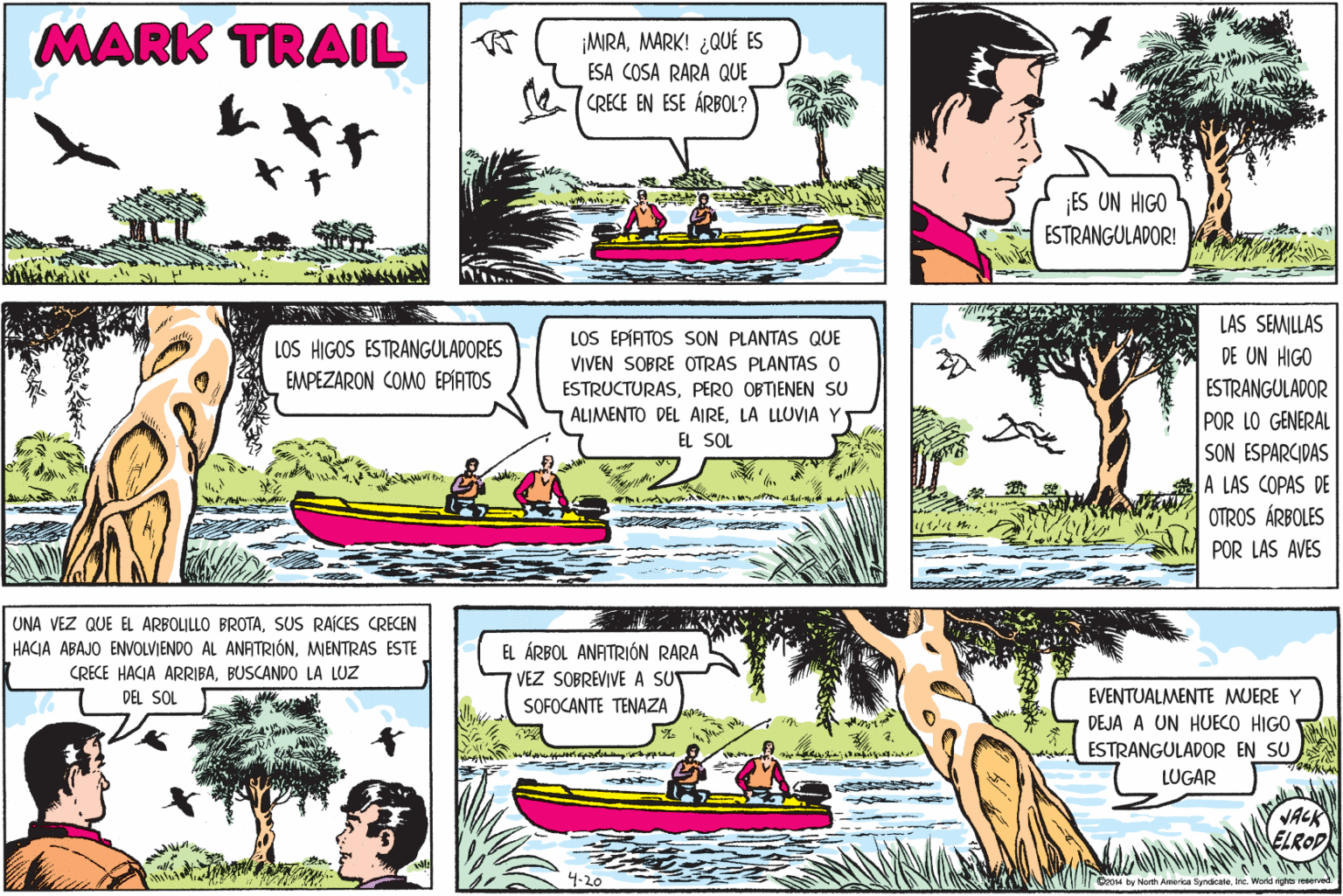 Watercraft OCR: MARK TRAIL ¡MRAMARK! ¿QUÉ ES ESA COSA RARA QUE CRECE EN ESE ÁRBOL? ES UN HIGO ESTRANGULADOR! LAS SEMILLAS DE UN HIGO LOS EPÍATOS SON PLANTAS QUE LOS HIGOS ESTRANGULADORES EMPEZARON COMO EPÍATOS VIVEN SOBRE OTRAS PLANTAS O ESTRANGULADOR ESTRUCTURASPERO OBTIENEN SU ALIMENTO DEL AIRELA LLUVIA Y EL SOL POR LO GENERAL SON ESPARCIDAS A LAS COPAS DE OTROS ÁRBOLES POR LAS AVES UNA VEZ QUE EL ARBOLILLO BROTASUS RAÍCES CRECEN HACIA ABAJO ENVOLVIENDO AL ANATRIÓNMIENTRAS ESTE CRECE HACIA ARRIBABUSCANDO LA LUZ EL ÁRBOL ANATRIÓN RARA VEZ SOBREVIVE A SUT EVENTUALMENTE MUERE Y DEJA A UN HUECO HIGO ESTRANGULADOR EN SU DEL SOL SOFOCANTE TENAZA LUGAR VACK ELROP 4-20 Geo4 by North Amoerka Syrdicate. Inc. World rghts reserved. MARK TRAIL ¡MRAMARK! ¿QUÉ ES ESA COSA RARA QUE CRECE EN ESE ÁRBOL? ES UN HIGO ESTRANGULADOR! LAS SEMILLAS DE UN HIGO LOS EPÍATOS SON PLANTAS QUE LOS HIGOS ESTRANGULADORES EMPEZARON COMO EPÍATOS VIVEN SOBRE OTRAS PLANTAS O ESTRANGULADOR ESTRUCTURASPERO OBTIENEN SU ALIMENTO DEL AIRELA LLUVIA Y EL SOL POR LO GENERAL SON ESPARCIDAS A LAS COPAS DE OTROS ÁRBOLES POR LAS AVES UNA VEZ QUE EL ARBOLILLO BROTASUS RAÍCES CRECEN HACIA ABAJO ENVOLVIENDO AL ANATRIÓNMIENTRAS ESTE CRECE HACIA ARRIBABUSCANDO LA LUZ EL ÁRBOL ANATRIÓN RARA VEZ SOBREVIVE A SUT EVENTUALMENTE MUERE Y DEJA A UN HUECO HIGO ESTRANGULADOR EN SU DEL SOL SOFOCANTE TENAZA LUGAR VACK ELROP 4-20 Geo4 by North Amoerka Syrdicate. Inc. World rghts reserved.