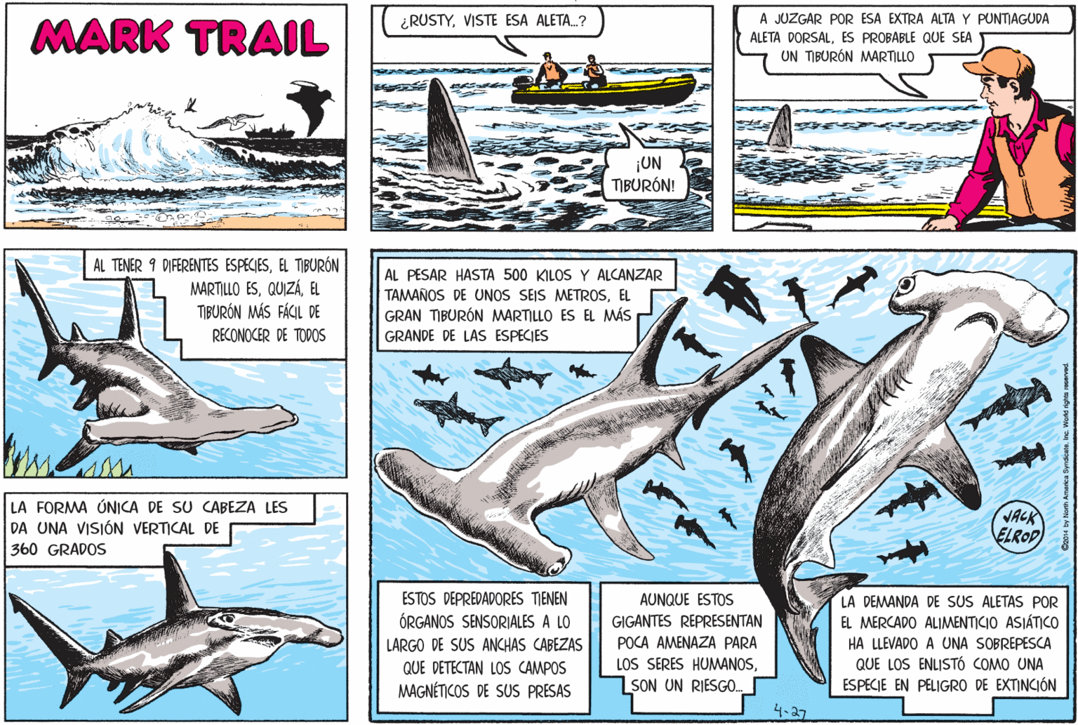 Marine biology OCR: ¿RUSTYVISTE ESA ALETA.? A JUZGAR POR ESA EXTRA ALTA Y PUNTIAGUDA MARK TRAIL ALETA DORSALES PROBABLE QUE SEA UN TIBURÓN MARTILLO ¡UN TIBURÓN! AL TENER 9 DIFERENTES ESPECIESEL TIBURÓN MARTILLO ESEL TIBURÓN MÁS FÁCIL DE RECONOCER DE TODOS AL PESAR HASTA 500 KILOS Y ALCANZAR TAMAÑOS DE UNOS SEIS METROSEL GRAN TIBURÓN MARTILLO ES EL MÁS P GRANDE DE LAS ESPECIES LA FORMA ÚNICA DE SU CABEZA LES DA UNA VISIÓN VERTICAL DE VACK ELROP 360 GRADOS ESTOS DÉPREDADORES TIENEN ÓRGANOS SENSORIALES A LO LA DEMANDA DE SUS ALETAS POR EL MERCADO ALIMENTICIO ASIÁTICO AUNQUE ESTOS GIGANTES REPRESENTAN LARGO DE SUS ANCHAS CABEZAS POCA AMENAZA PARA HA LLEVADO A UNA SOBREPESCA QUE LOS ENLISTÓ COMO UNA ESPECIE EN PELIGRO DE EXTINCIÓN QUE DETECTAN LOS CAMPOS LOS SERES HUMANOSMAGNÉTICOS DE SUS PRESAS LSON UN RIESG. 4-27 ¿RUSTYVISTE ESA ALETA.? A JUZGAR POR ESA EXTRA ALTA Y PUNTIAGUDA MARK TRAIL ALETA DORSALES PROBABLE QUE SEA UN TIBURÓN MARTILLO ¡UN TIBURÓN! AL TENER 9 DIFERENTES ESPECIESEL TIBURÓN MARTILLO ESEL TIBURÓN MÁS FÁCIL DE RECONOCER DE TODOS AL PESAR HASTA 500 KILOS Y ALCANZAR TAMAÑOS DE UNOS SEIS METROSEL GRAN TIBURÓN MARTILLO ES EL MÁS P GRANDE DE LAS ESPECIES LA FORMA ÚNICA DE SU CABEZA LES DA UNA VISIÓN VERTICAL DE VACK ELROP 360 GRADOS ESTOS DÉPREDADORES TIENEN ÓRGANOS SENSORIALES A LO LA DEMANDA DE SUS ALETAS POR EL MERCADO ALIMENTICIO ASIÁTICO AUNQUE ESTOS GIGANTES REPRESENTAN LARGO DE SUS ANCHAS CABEZAS POCA AMENAZA PARA HA LLEVADO A UNA SOBREPESCA QUE LOS ENLISTÓ COMO UNA ESPECIE EN PELIGRO DE EXTINCIÓN QUE DETECTAN LOS CAMPOS LOS SERES HUMANOSMAGNÉTICOS DE SUS PRESAS LSON UN RIESG. 4-27