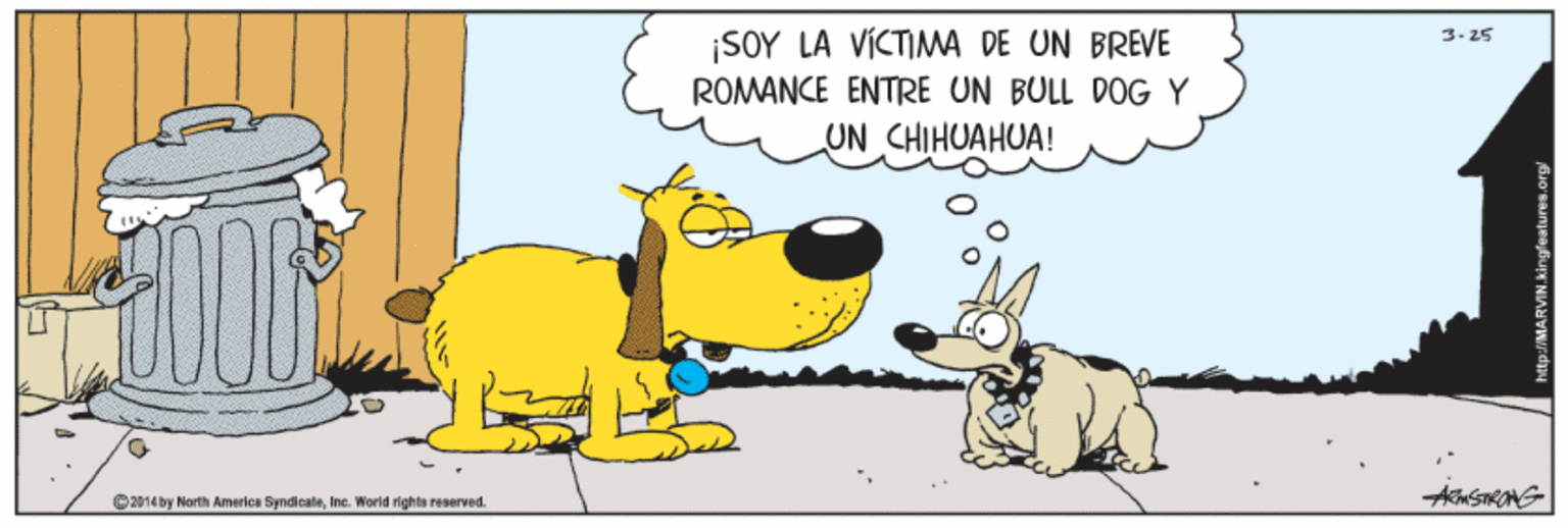 Sharing OCR: ¡SOY LA VICTIMA DE UN BREVE ROMANCE ENTRE UN BULL DOG Y 3- 25 UN CHIHUAHUA! C2014by North Ametles SyndiealeInc. World righls eeerved. ¡SOY LA VICTIMA DE UN BREVE ROMANCE ENTRE UN BULL DOG Y 3- 25 UN CHIHUAHUA! C2014by North Ametles SyndiealeInc. World righls eeerved.