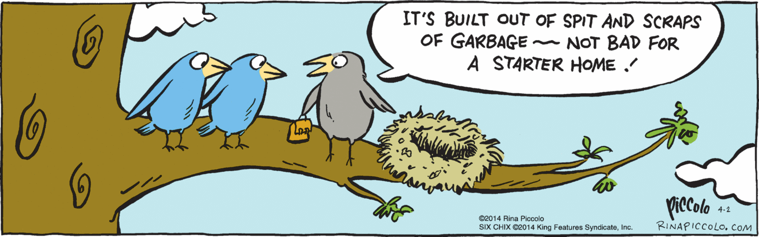 Drawing OCR: IT'S BUILT OUT OF SPIT AND SCRAPS OF GARBAGE - NOT BAD FOR A STARTER HOME ! - 4.2 piccolo ©2014 Rina Piccolo SIX CHIX ©2014 King Features SyndicateInc. RINAPICCOLO. COM IT'S BUILT OUT OF SPIT AND SCRAPS OF GARBAGE - NOT BAD FOR A STARTER HOME ! - 4.2 piccolo ©2014 Rina Piccolo SIX CHIX ©2014 King Features SyndicateInc. RINAPICCOLO. COM