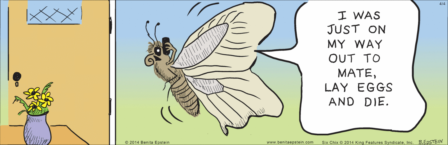 Teal OCR: www.benitaepstein.com 4/4 I WAS JUST ON MY WAY OUT TO MATELAY EGGS AND DIE. B.EPSTEIN © 2014 Benita Epstein Six Chix 2014 King Features SyndicateInc. www.benitaepstein.com 4/4 I WAS JUST ON MY WAY OUT TO MATELAY EGGS AND DIE. B.EPSTEIN © 2014 Benita Epstein Six Chix 2014 King Features Syndicate