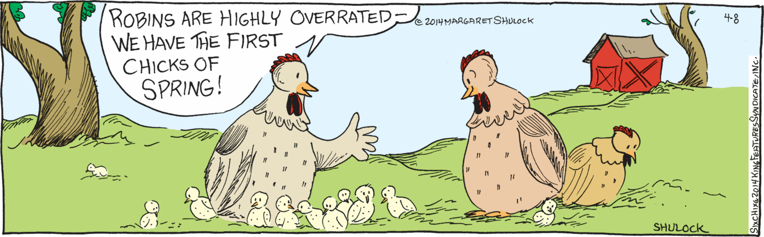 Happy OCR: ROBINS ARE HIGHLY OVERRATED- WE HAVE THE FIRST CHICKS OF SPRING! ??? Jm. 11 4-8 SIXCHXC2014 KING FEATURES SYNDICATEINC SHULOCK C 20 14 MARGARETSHULOCK ROBINS ARE HIGHLY OVERRATED- WE HAVE THE FIRST CHICKS OF SPRING! ??? Jm. 11 4-8 SIXCHXC2014 KING FEATURES SYNDICATEINC SHULOCK C 20 14 MARGARETSHULOCK