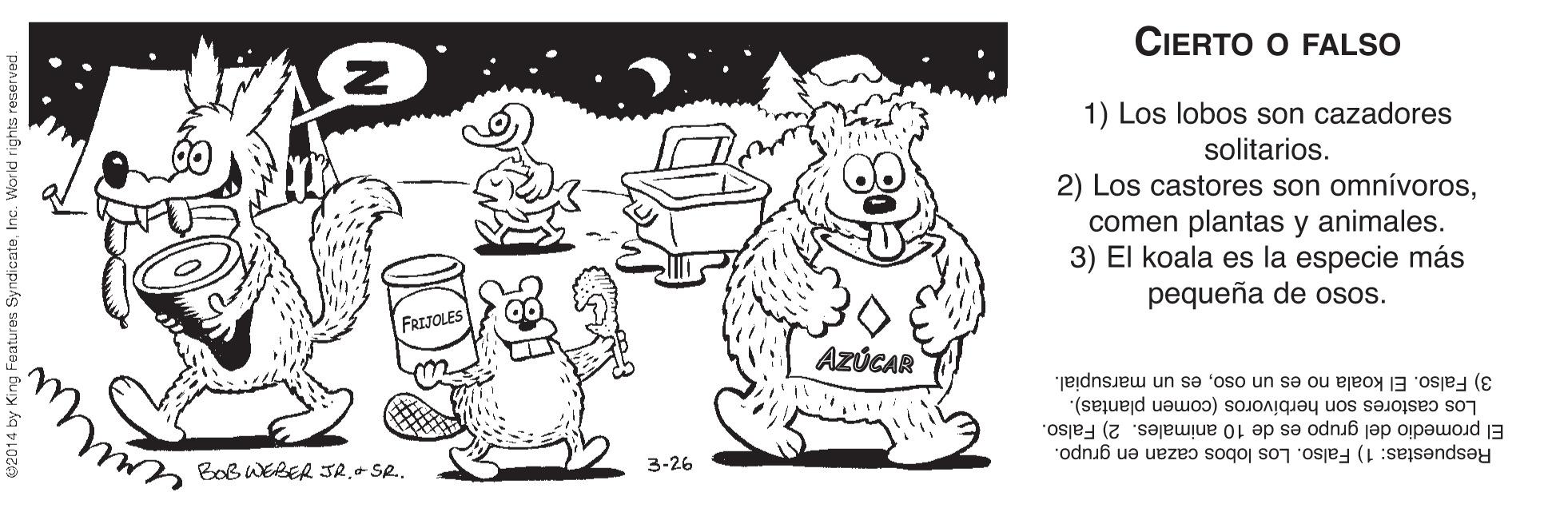 Style OCR: CIERTO O FALSO 1) Los lobos son cazadores solitarios. 2) Los castores son omnívoroscomen plantas y animales. 3) El koala es la especie más pequeña de osos. FRIJOLES AZÚCAR 3) Falso. El koala no es un osoes un marsupial. Los castores son herbívoros (comen plantas). El promedio del grupo es de 10 animales. 2) Falso. Respuestas: 1) Falso. Los lobos cazan en grupo. BoB WEBER JR.+SR. 3-26 CIERTO O FALSO 1) Los lobos son cazadores solitarios. 2) Los castores son omnívoroscomen plantas y animales. 3) El koala es la especie más pequeña de osos. FRIJOLES AZÚCAR 3) Falso. El koala no es un osoes un marsupial. Los castores son herbívoros (comen plantas). El promedio del grupo es de 10 animales. 2) Falso. Respuestas: 1) Falso. Los lobos cazan en grupo. BoB WEBER JR.+SR. 3-26