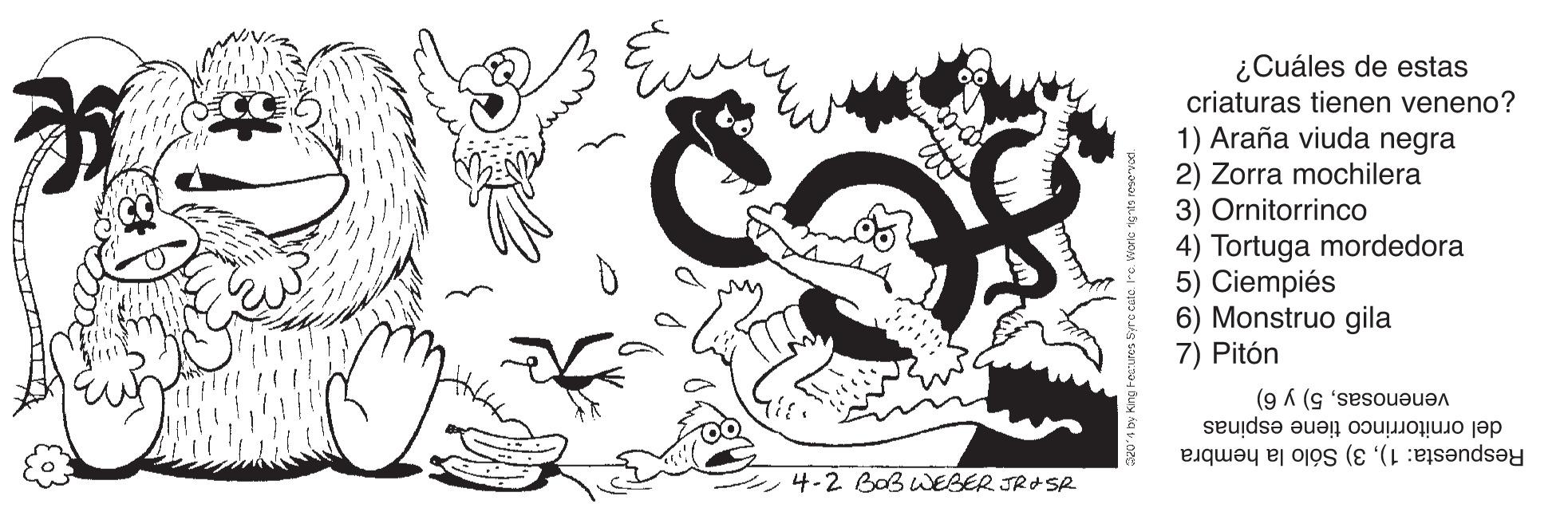 Line art OCR: ¿Cuáles de estas criaturas tienen veneno? 1) Araña viuda negra 2) Zorra mochilera 3) Ornitorrinco 4) Tortuga mordedora 5) Ciempiés 6) Monstruo gila 7) Pitón venenosas5) y 6) del ornitorrinco tiene espinas Respuesta: 1)3) Sólo la hembra 4-2 BoB WEBER JROSR ¿Cuáles de estas criaturas tienen veneno? 1) Araña viuda negra 2) Zorra mochilera 3) Ornitorrinco 4) Tortuga mordedora 5) Ciempiés 6) Monstruo gila 7) Pitón venenosas5) y 6) del ornitorrinco tiene espinas Respuesta: 1)3) Sólo la hembra 4-2 BoB WEBER JROSR