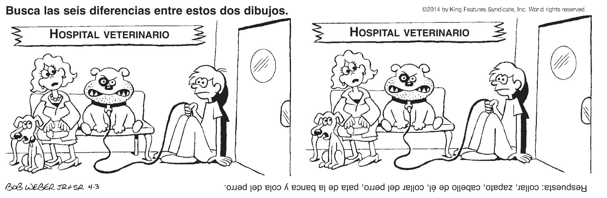 Font OCR: Busca las seis diferencias entre estos dos dibujos. 02014 by King Features SyndicateInc. Word rights reserved. HOSPITAL VETERINARIO HOSPITAL VETERINARIO BaB WEBER JRASR 4.3 Respuesta: collarpata de la banca y cola del perro. Busca las seis diferencias entre estos dos dibujos. 02014 by King Features SyndicateInc. Word rights reserved. HOSPITAL VETERINARIO HOSPITAL VETERINARIO BaB WEBER JRASR 4.3 Respuesta: collarcabello de élcollar del perropata de la banca y cola del perro.