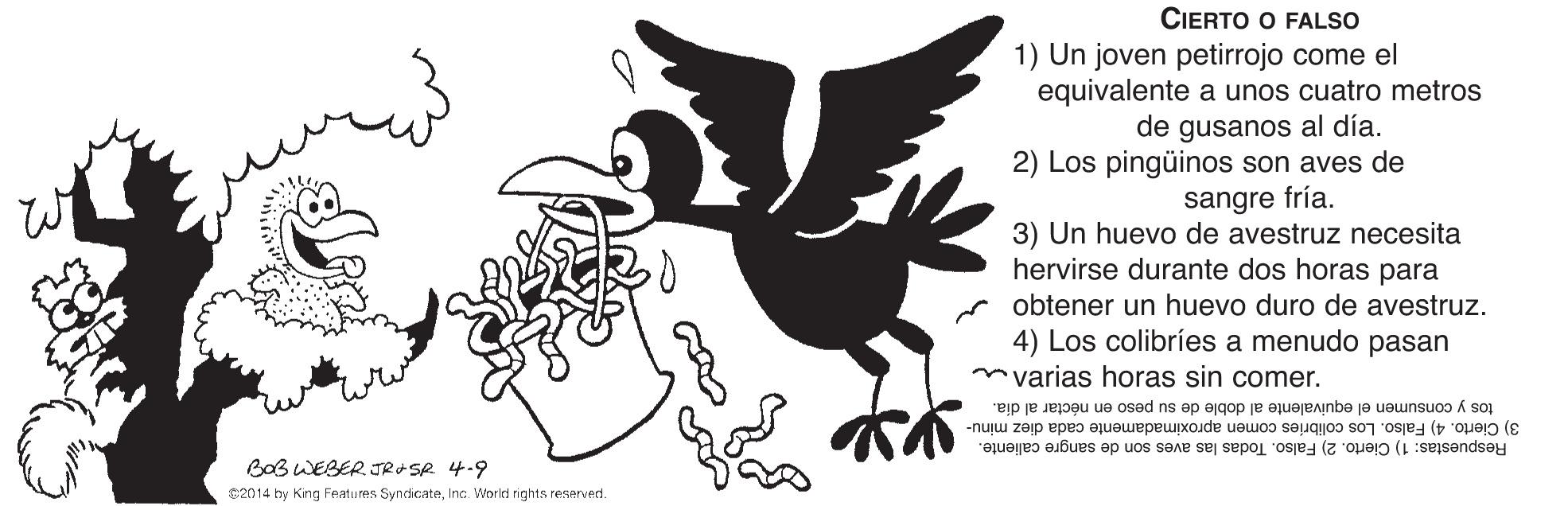 Ink OCR: CIERTO O FALSO 1) Un joven petirrojo come el equivalente a unos cuatro metros de gusanos al día. 2) Los pingüinos son aves de sangre fría. 3) Un huevo de avestruz necesita hervirse durante dos horas para obtener un huevo duro de avestruz. 4) Los colibríes a menudo pasan mvarias horas sin comer. tos y consumen el equivalente al doble de su peso en néctar al dia. 3) Cierto. 4) Falso. Los colibries comen aproximadamente cada diez minu- Respuestas: 1) Cierto. 2) Falso. Todas las aves son de sangre caliente. BoB WEBER JR SR 4.9 G2014 hy Kng Fentums SyndicateInc. World rights reserverd. CIERTO O FALSO 1) Un joven petirrojo come el equivalente a unos cuatro metros de gusanos al día. 2) Los pingüinos son aves de sangre fría. 3) Un huevo de avestruz necesita hervirse durante dos horas para obtener un huevo duro de avestruz. 4) Los colibríes a menudo pasan mvarias horas sin comer. tos y consumen el equivalente al doble de su peso en néctar al dia. 3) Cierto. 4) Falso. Los colibries comen aproximadamente cada diez minu- Respuestas: 1) Cierto. 2) Falso. Todas las aves son de sangre caliente. BoB WEBER JR SR 4.9 G2014 hy Kng Fentums SyndicateInc. World rights reserverd.