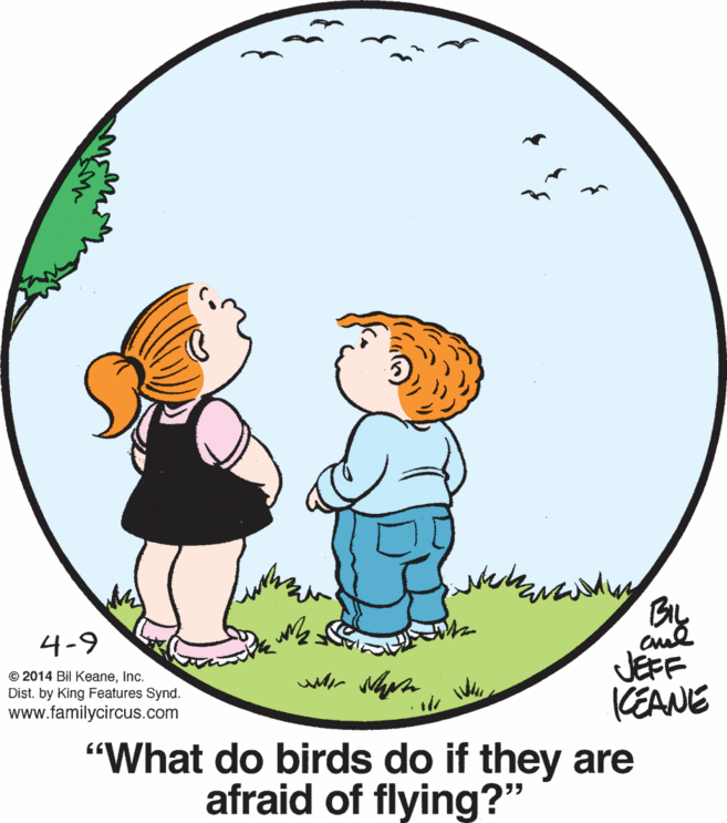 Tree OCR: By aud JEFF CEANE 4-9 © 2014 Bil KeaneInc. Dist. by King Features Synd. www.familycircus.com "What do birds do if they are afraid of flying?" By aud JEFF CEANE 4-9 © 2014 Bil KeaneInc. Dist. by King Features Synd. www.familycircus.com "What do birds do if they are afraid of flying?"