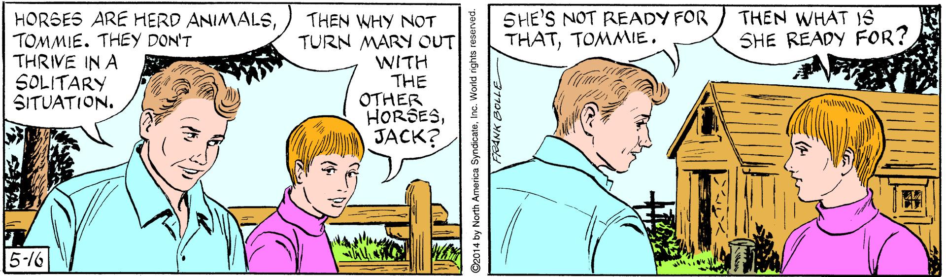 Jaw OCR: SHE'S NOT READY FOR THATTOMMIE. THEN WHAT IS HORSES ARE HERD ANIMALSTOMMIE. THEY DON'T THRIVE IN A SOLITARY SITUATION. THEN WHY NOT TURN MARY OUT WITH THE OTHER HORSESJACK? SHE READY FOR? 5-16 ©2014 by North America SyndicateInc. World rights reserve 1109 YNDO SHE'S NOT READY FOR THATTOMMIE. THEN WHAT IS HORSES ARE HERD ANIMALSTOMMIE. THEY DON'T THRIVE IN A SOLITARY SITUATION. THEN WHY NOT TURN MARY OUT WITH THE OTHER HORSESJACK? SHE READY FOR? 5-16 ©2014 by North America SyndicateInc. World rights reserve 1109 YNDO