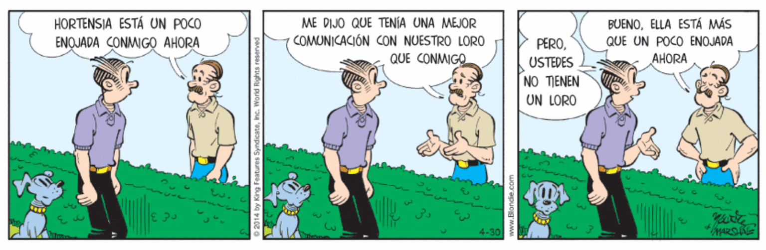Plant OCR: ME DIJO QUE TENÍA UNA MEJOR COMUNICACIÓN CON NUESTRO LORO QUE CONMIGO HORTENSIA ESTÁ UN POCO BUENOELLA ESTÁ MÁS ENQJADA CONMIGO AHORA QUE UN POCO ENOJADA PËROUSTEDES AHORA NO TENEN UN LORO 4-30 ME DIJO QUE TENÍA UNA MEJOR COMUNICACIÓN CON NUESTRO LORO QUE CONMIGO HORTENSIA ESTÁ UN POCO BUENOELLA ESTÁ MÁS ENQJADA CONMIGO AHORA QUE UN POCO ENOJADA PËROUSTEDES AHORA NO TENEN UN LORO 4-30
