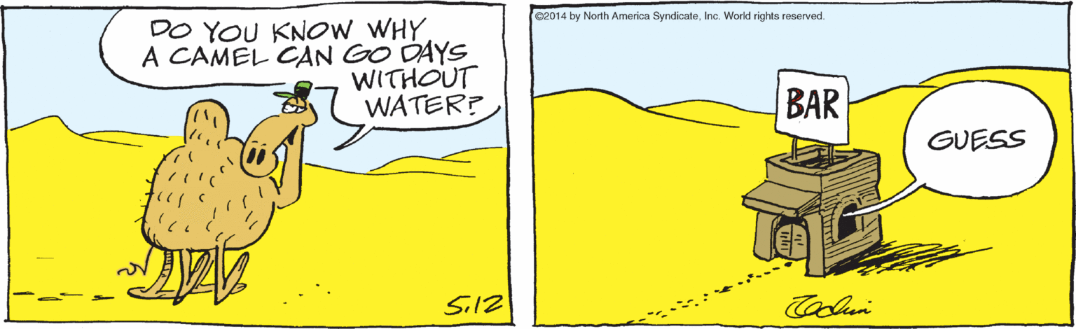 Art OCR: 2014 by North America SyndicateInc. World rights reserved. DO YOU KNOW WHY A CAMEL CAN GO DAYS WITHOUT WATER? BAR GUESS Sil2 2014 by North America SyndicateInc. World rights reserved. DO YOU KNOW WHY A CAMEL CAN GO DAYS WITHOUT WATER? BAR GUESS Sil2