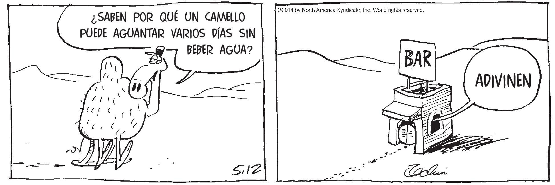 Art OCR: OP014 by Nerth Arrerica SyrdicaleInc. World rights reserved. ¿SABEN POR QUÉ UN CAMELLO PUEDE AGUANTAR VARIOS DÍAS SIN BEBER AGUA? BAR ADIVINEN Sil2 OP014 by Nerth Arrerica SyrdicaleInc. World rights reserved. ¿SABEN POR QUÉ UN CAMELLO PUEDE AGUANTAR VARIOS DÍAS SIN BEBER AGUA? BAR ADIVINEN Sil2