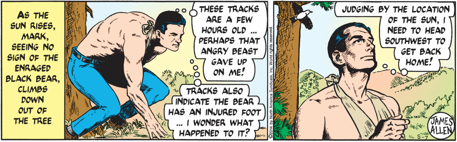 Terrestrial plant OCR: AS THE SUN RISESSEEING NO SIGN OF THE ENRAGED BLACK BEARCLIMBS DOWN THESE TRACKS ARE A FEW HOURS OLD ... PERHAPS THAT ANGRY BEAST GAVE UP ON ME! JUDGING BY THE LOCATION OF THE SUNI NEED TO HEAD SOUTHWEST TO GET BACK HOME! TRACKS ALSO INDICATE THE BEAR HAS AN INJURED FOOT ... I WONDER WHAT HAPPENED TO IT? OUT OF JAMES ALLEN THE TREE AS THE SUN RISESSEEING NO SIGN OF THE ENRAGED BLACK BEARCLIMBS DOWN THESE TRACKS ARE A FEW HOURS OLD ... PERHAPS THAT ANGRY BEAST GAVE UP ON ME! JUDGING BY THE LOCATION OF THE SUNI NEED TO HEAD SOUTHWEST TO GET BACK HOME! TRACKS ALSO INDICATE THE BEAR HAS AN INJURED FOOT ... I WONDER WHAT HAPPENED TO IT? OUT OF JAMES ALLEN THE TREE