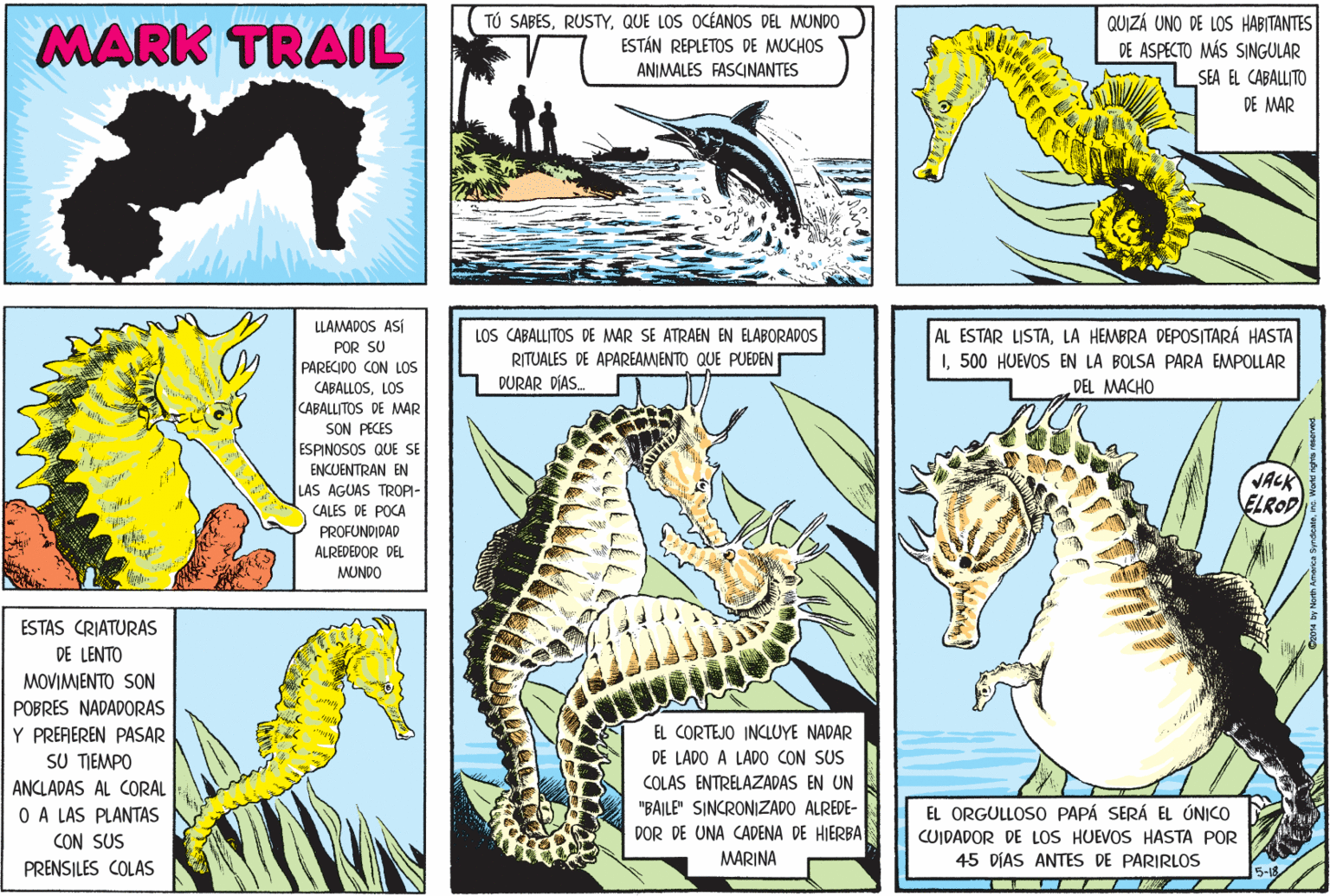Adaptation OCR: MARK TRAIL TÚ SABESQUE LOS OCÉANOS DEL MUNDO ESTÁN REPLETOS DE MUCHOS QUIZÁ UNO DE LOS HABITANTES DE ASPECTO MÁS SINGULAR SEA EL CABALLITO ANIMALES FASCINANTES DE MAR LLAMADOS ASÍ LOS CABALLITOS DE MAR SE ATRAEN EN ELABORADOS RITUALES DE APAREAMIENTO QUE PUEDEN DURAR DÍAS. AL ESTAR LISTALA HEMBRA DEPOSITARÁ HASTA I500 HUEVOS EN LA BOLSA PARA EMPOLLAR DEL MACHO POR SU PARECIDO CON LOs CABALLOSLOS CABALLITOS DE MAR SON PECES ESPINOSOS QUE SE ENCUENTRAN EN VACK ELROP LAS AGUAS TROPI- CALES DE POCA PROFUNDIDAD ALREDEDOR DEL MUNDO ESTAS CRIATURAS DE LENTO MOVIMIENTO SON POBRES NADADORAS Y PREAEREN PASAR SU TIEMPO EL CORTEJO INCLUYE NADAR DE LADO A LADO CON SUS ANCLADAS AL CORAL COLAS ENTRELAZADAS EN UN "BAILE" SINCRONIZADO ALREDE- DOR DE UNA CADENA DE HIERBA MARINA EL ORGULLOSO PAPÁ SERÁ EL ÚNICO O A LAS PLANTAS CON SUS CUIDADOR DE LoS HUEVOS HASTA POR 45 DÍAS ANTES DE PARIRLOS PRENSILES COLAS MARK TRAIL TÚ SABESQUE LOS OCÉANOS DEL MUNDO ESTÁN REPLETOS DE MUCHOS QUIZÁ UNO DE LOS HABITANTES DE ASPECTO MÁS SINGULAR SEA EL CABALLITO ANIMALES FASCINANTES DE MAR LLAMADOS ASÍ LOS CABALLITOS DE MAR SE ATRAEN EN ELABORADOS RITUALES DE APAREAMIENTO QUE PUEDEN DURAR DÍAS. AL ESTAR LISTALA HEMBRA DEPOSITARÁ HASTA I500 HUEVOS EN LA BOLSA PARA EMPOLLAR DEL MACHO POR SU PARECIDO CON LOs CABALLOSLOS CABALLITOS DE MAR SON PECES ESPINOSOS QUE SE ENCUENTRAN EN VACK ELROP LAS AGUAS TROPI- CALES DE POCA PROFUNDIDAD ALREDEDOR DEL MUNDO ESTAS CRIATURAS DE LENTO MOVIMIENTO SON POBRES NADADORAS Y PREAEREN PASAR SU TIEMPO EL CORTEJO INCLUYE NADAR DE LADO A LADO CON SUS ANCLADAS AL CORAL COLAS ENTRELAZADAS EN UN "BAILE" SINCRONIZADO ALREDE- DOR DE UNA CADENA DE HIERBA MARINA EL ORGULLOSO PAPÁ SERÁ EL ÚNICO O A LAS PLANTAS CON SUS CUIDADOR DE LoS HUEVOS HASTA POR 45 DÍAS ANTES DE PARIRLOS PRENSILES COLAS