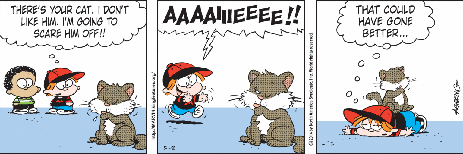 Fictional character OCR: THERE'S YOUR CAT. I DON'T LIKE HIM. I'M GOING TO SCARE HIM OFF! AAAAIEEEE!! THAT COULD HAVE GONE BETTER... S-2 http://MARVIN.kingfeatures.org/ ©2014 by North America SyndicateInc. World rights reserved THERE'S YOUR CAT. I DON'T LIKE HIM. I'M GOING TO SCARE HIM OFF! AAAAIEEEE!! THAT COULD HAVE GONE BETTER... S-2 http://MARVIN.kingfeatures.org/ ©2014 by North America SyndicateInc. World rights reserved