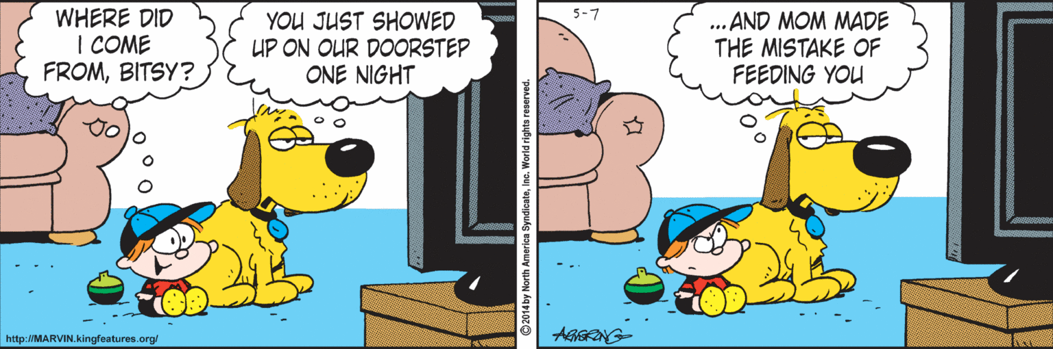 Art OCR: WHERE DID I COME FROMBITSY? 5-7 YOU JUST SHOWED UP ON OUR DOORSTEP ONE NIGHT .. AND MOM MADE THE MISTAKE OF FEEDING YOU http://MARVIN. kingfeatures.org/ WHERE DID I COME FROMBITSY? 5-7 YOU JUST SHOWED UP ON OUR DOORSTEP ONE NIGHT .. AND MOM MADE THE MISTAKE OF FEEDING YOU http://MARVIN. kingfeatures.org/