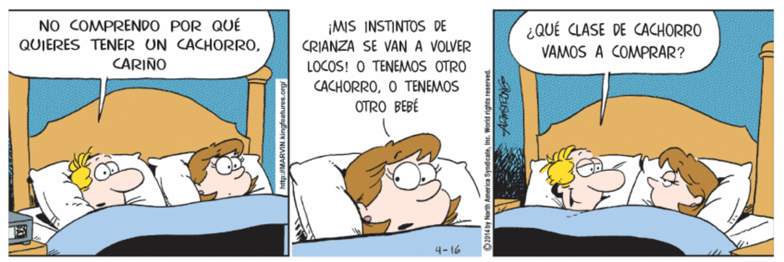 Illustration OCR: NO COMPRENDO POR QUÉ QUIERES TENER UN CACHORROCARIÑO ¡MIS INSTINTOS DE CRIANZA SE VAN A VOLVER ¿QUÉ CLASE DE CACHORRO VAMOS A COMPRAR? LOCOS! O TENEMOS OTRO CACHORROO TENEMOS OTRO BEBÉ 4- 16 NO COMPRENDO POR QUÉ QUIERES TENER UN CACHORROCARIÑO ¡MIS INSTINTOS DE CRIANZA SE VAN A VOLVER ¿QUÉ CLASE DE CACHORRO VAMOS A COMPRAR? LOCOS! O TENEMOS OTRO CACHORROO TENEMOS OTRO BEBÉ 4- 16