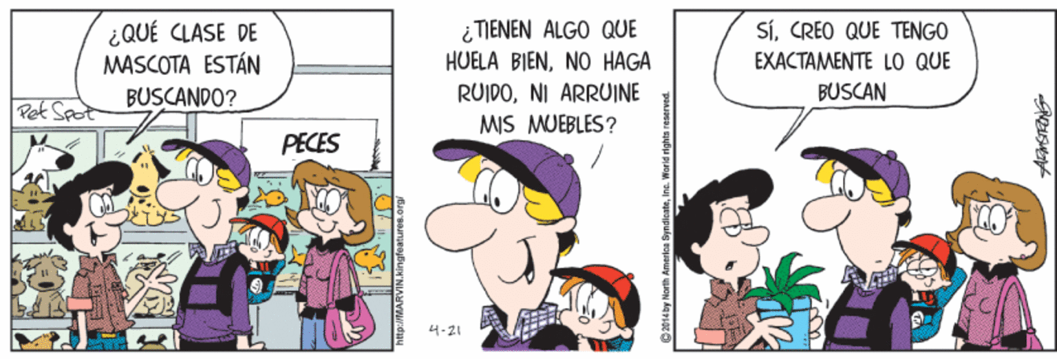 Art OCR: ¿QUÉ CLASE DE MASCOTA ESTÁN i TIENEN ALGO QUE HUELA BIENNO HAGA SíCREO QUE TENGO EXACTAMENTE LO QUE BUSCANDO? RUIDONI ARRUINE BUSCAN Pat Spot MIS MJEBLES? PECES 4-21 ¿QUÉ CLASE DE MASCOTA ESTÁN i TIENEN ALGO QUE HUELA BIENNO HAGA SíCREO QUE TENGO EXACTAMENTE LO QUE BUSCANDO? RUIDONI ARRUINE BUSCAN Pat Spot MIS MJEBLES? PECES 4-21
