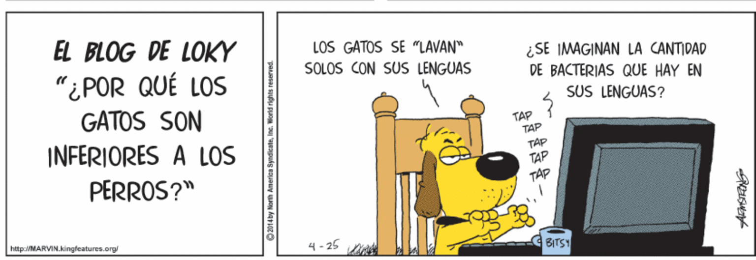 Happy OCR: EL BLOG DE LOKY LOS GATOS SE "LAVAN" ¿SE IMAGINAN LÀ CANTIDAD DE BACTERIAS QUE HAY EN SOLOS CON SUS LENGUAS "i POR QUÉ LOS GATOS SON INFERIORES A LOS SUS LENGUAS? TAP TAP TÁP TAP PERROS?" TAP http://MARVIN.kingfeatures.orgl 4 - 25 BITST EL BLOG DE LOKY LOS GATOS SE "LAVAN" ¿SE IMAGINAN LÀ CANTIDAD DE BACTERIAS QUE HAY EN SOLOS CON SUS LENGUAS "i POR QUÉ LOS GATOS SON INFERIORES A LOS SUS LENGUAS? TAP TAP TÁP TAP PERROS?" TAP http://MARVIN.kingfeatures.orgl 4 - 25 BITST