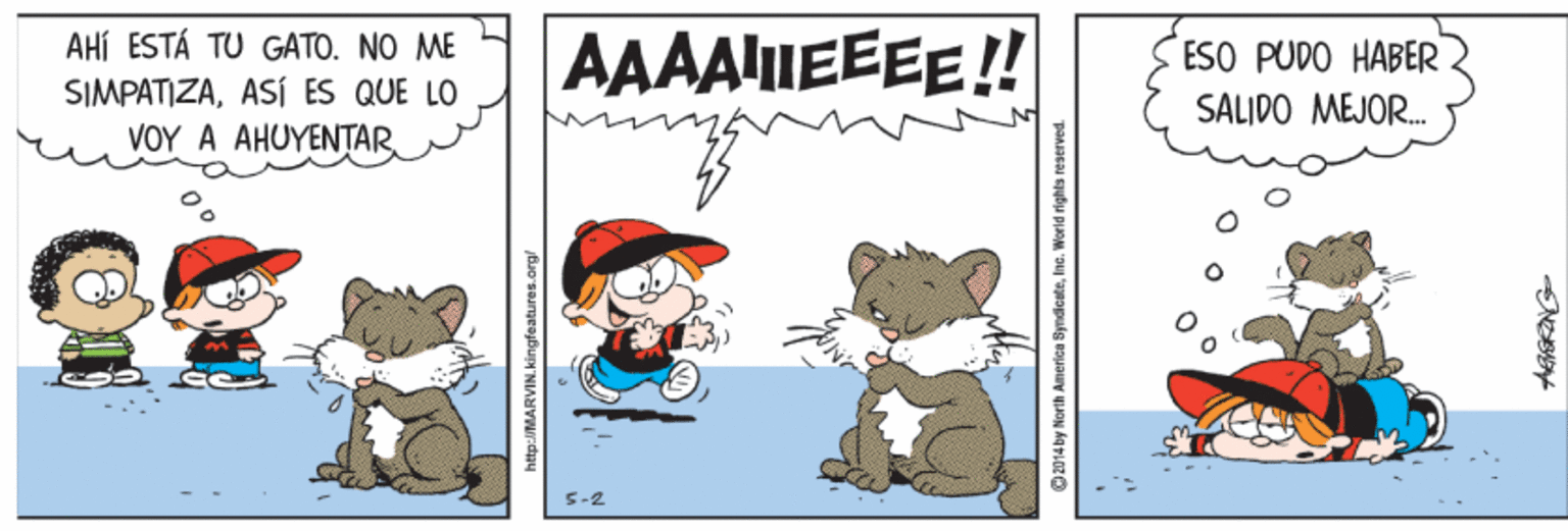 Illustration OCR: AHÍ ESTÁ TU GATO. NO ME AAAAIIEEEE!! ESO PUDO HABER SALIDO MEJOR. ŠIMPATIZAASÍ ES QUE LO ?O? ? ?HOYENTAR. http:/MARVIN.kingfeatures.org/ 2014 by North America SyndicateInc. World rights reserved AHÍ ESTÁ TU GATO. NO ME AAAAIIEEEE!! ESO PUDO HABER SALIDO MEJOR. ŠIMPATIZAASÍ ES QUE LO ?O? ? ?HOYENTAR. http:/MARVIN.kingfeatures.org/ 2014 by North America SyndicateInc. World rights reserved