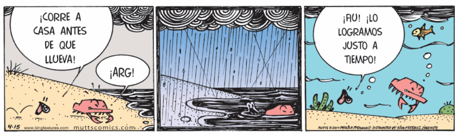 Window treatment OCR: ¡CORRE A CASA ANTES DE QUE ¡AU! ¡LO LÖGRAMOS JUSTO A LLUEVA! TIEMPO! ¡ARG! 4.15 www.kingleatures.com muttscomics.com.. ¡CORRE A CASA ANTES DE QUE ¡AU! ¡LO LÖGRAMOS JUSTO A LLUEVA! TIEMPO! ¡ARG! 4.15 www.kingleatures.com muttscomics.com..