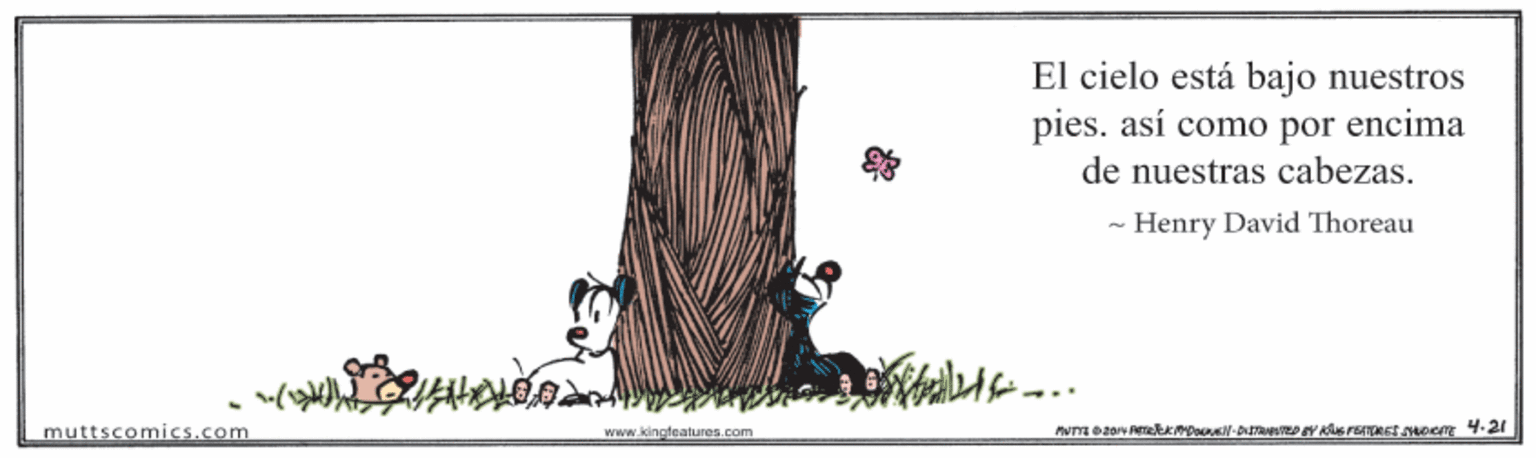 Wood OCR: El cielo está bajo nuestros pies. así como por encima de nuestras cabezas. - Henry David Thoreau muttscomics.com www.kinglatures. com El cielo está bajo nuestros pies. así como por encima de nuestras cabezas. - Henry David Thoreau muttscomics.com www.kinglatures. com