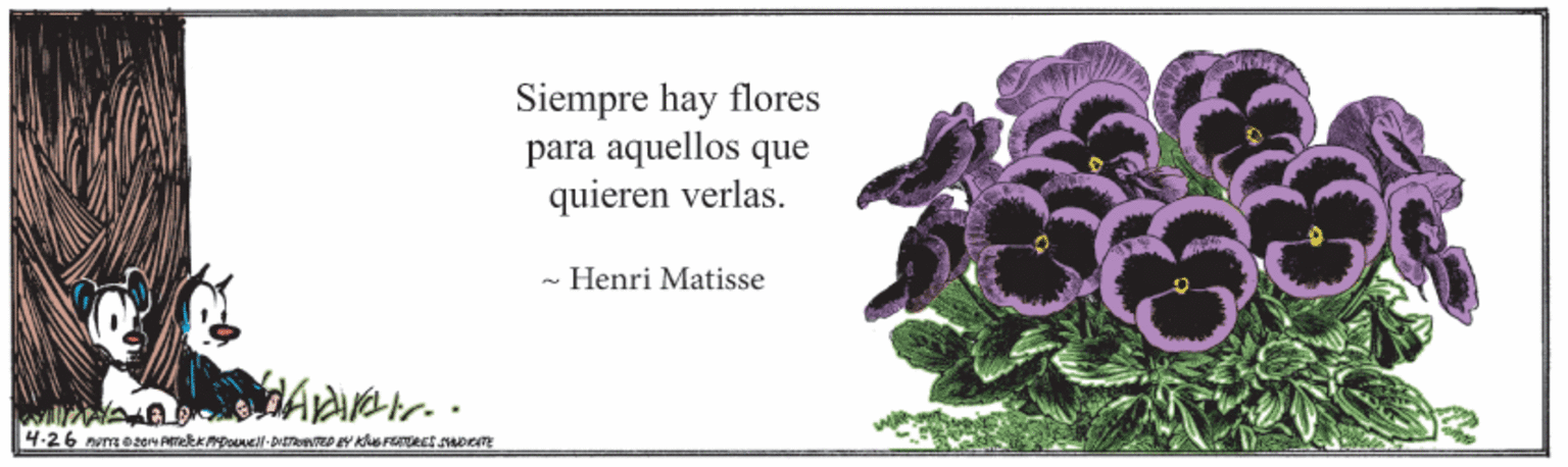 Flowerpot OCR: Siempre hay flores para aquellos que quieren verlas. - Henri Matisse Siempre hay flores para aquellos que quieren verlas. - Henri Matisse